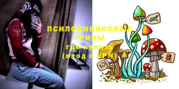 MDMA Premium VHQ Верхний Тагил